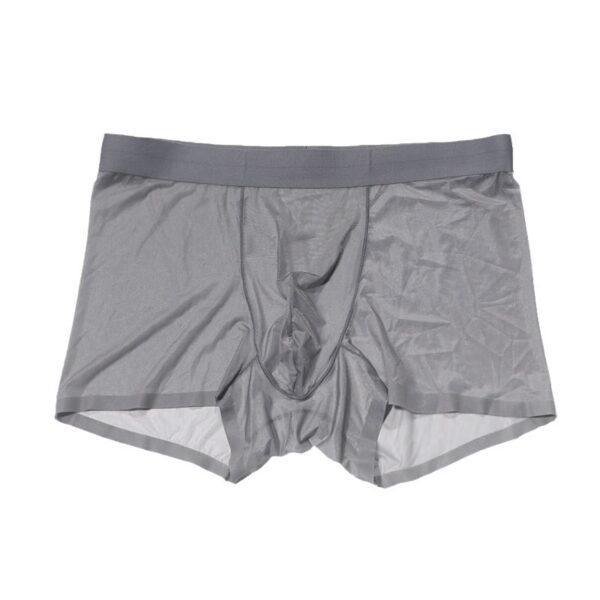 Silky Transparent 30g Flying Ice Silk Sexy Men's Underwear